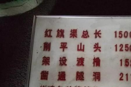 顽石多少万字