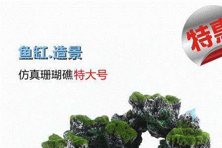 鱼缸石头造景图片摆法