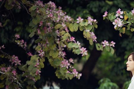 静静绽放的诗词