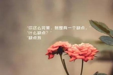 活着如同死去的诗句