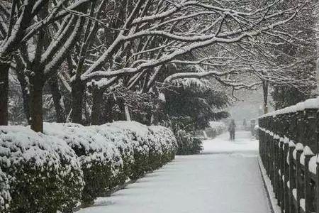 雪中洛阳人物解析