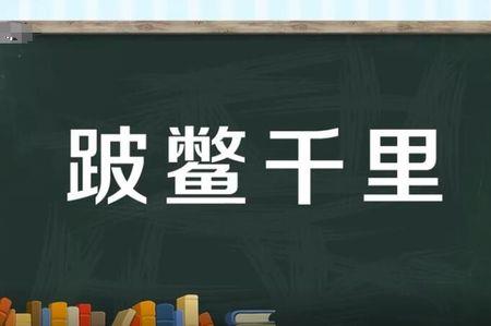 形容自信坚持自己成语