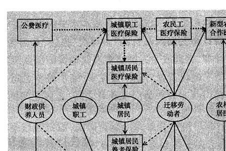 简述社会的概念，特征和功能