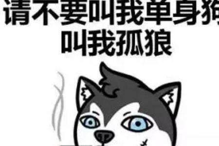 坑娃发朋友圈的句子幽默