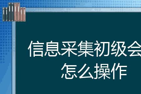 陕西初级会计信息采集怎么弄