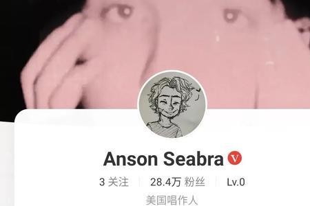 anson seabra的歌属于什么类型