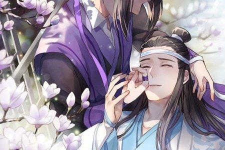 魔道祖师蓝家蓝的意义