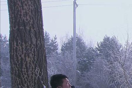 警中警春雪是谁扮演者