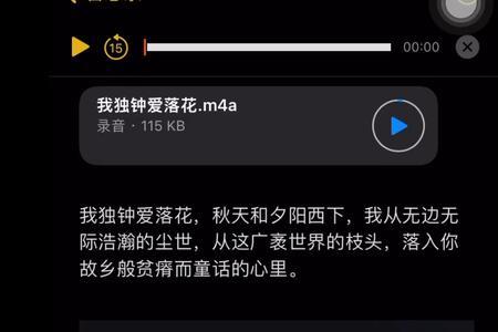 就当满天的落花都为你落下文案