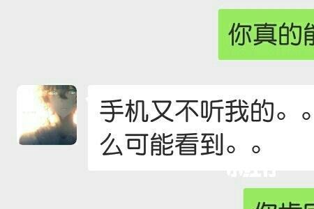 虚拟男友窥屏什么意思