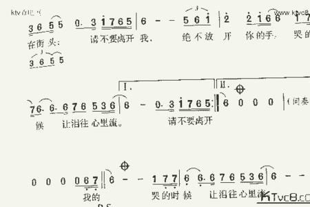 不放手不停留是什么歌