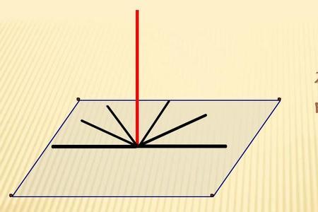 影子落在墙上数学题解题思路