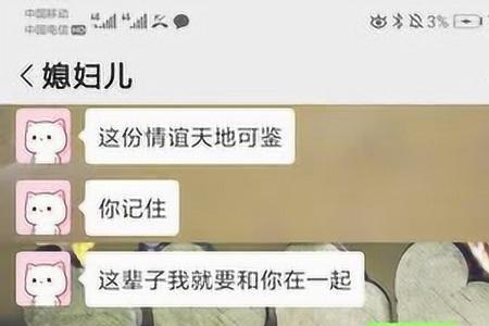 我老婆说我是傻瓜，什么意思