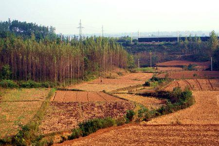 山野和田野有区别吗