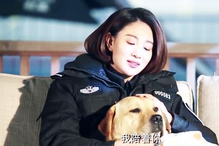 樱桃警犬被解救第几集