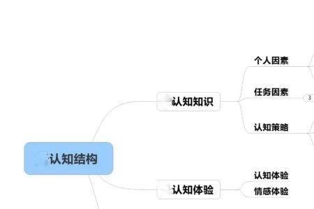 认知结构有哪三种