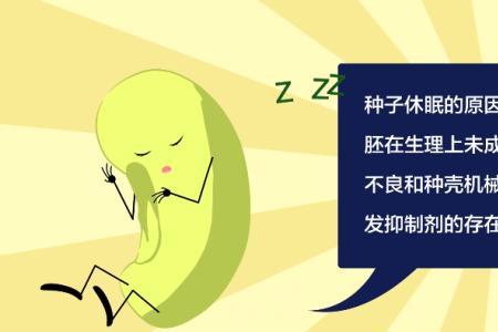 怎样打破种子休眠