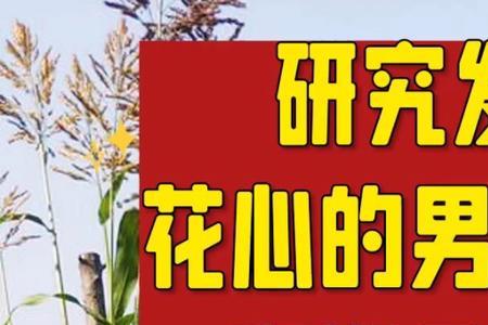 男人评价自己智商低怎么回复