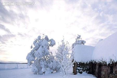 下雪的声音读后感悟