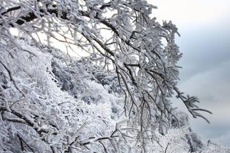 更看三冬雪下联