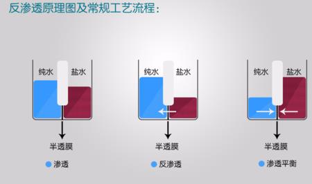 渗透膜和反渗透膜的区别