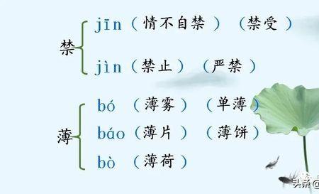 我不禁头涔涔而泪潸潸了赏析