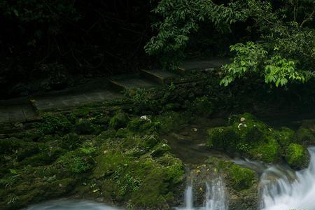 山水情缘意思