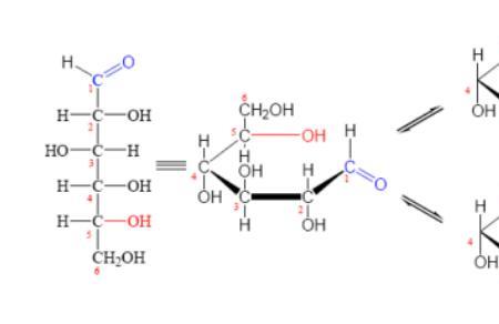 葡萄糖中的α与β是什么意思