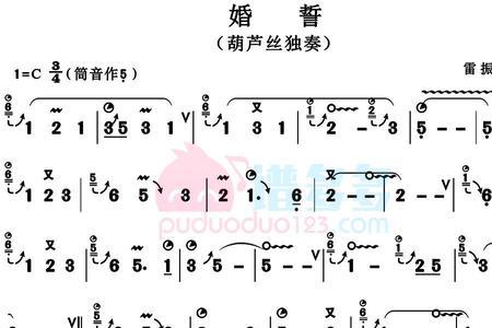 芦笙恋歌中插曲婚誓原唱者是谁