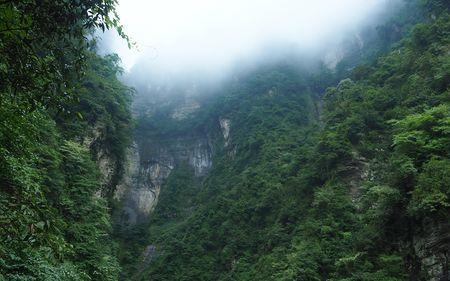 山前山后好风光感悟