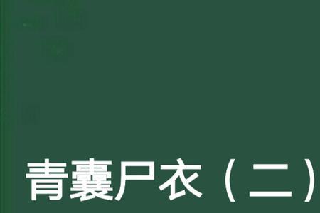 青囊尸衣剧情深度解析