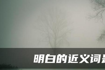 通晓和经过是近义词吗