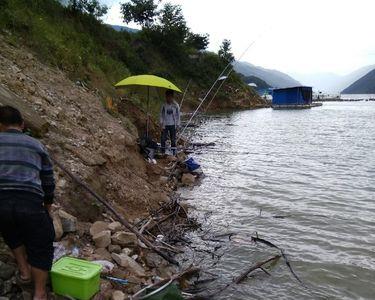 河里涨水太浑适合钓鱼吗