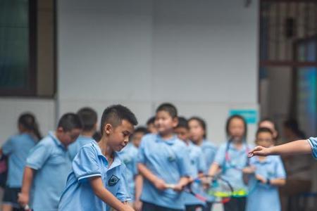 小学自然课学习电报知识