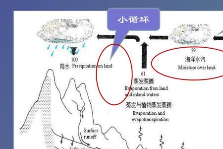 径流带分为哪几带