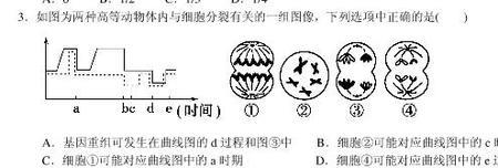 二倍生物体的细胞分裂方式