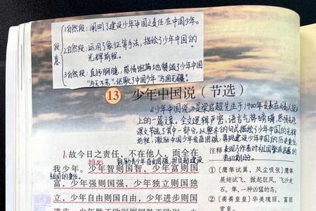 五年级语文少年说节选译文