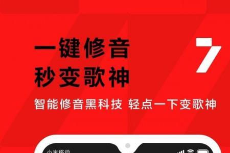 全民k歌雷鸟定制版是什么