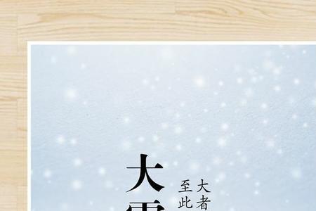 请描述大雪满弓刀所展示的画面