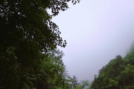 雾蒙蒙雨霏霏意思