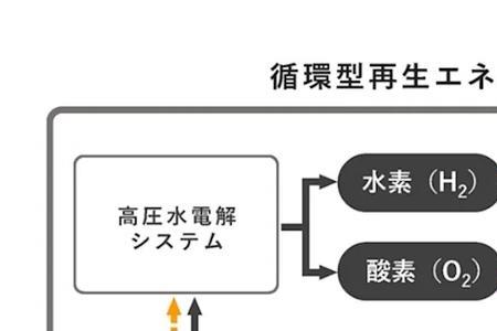 循环的概念