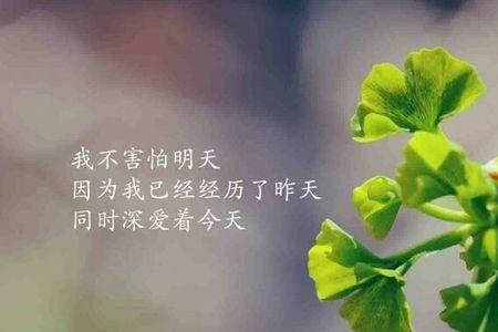 想不通的句子经典语录图片