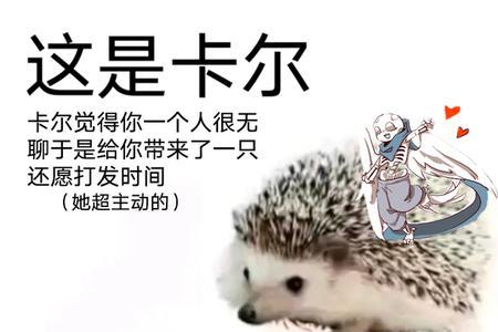 卡尔是什么星座