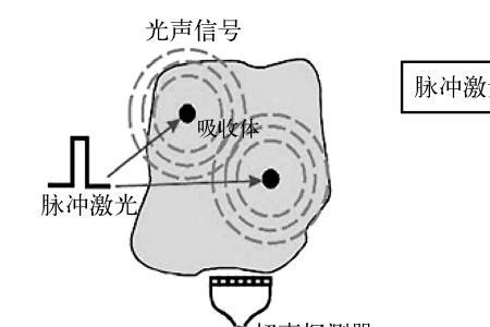 光的频率是什么意思