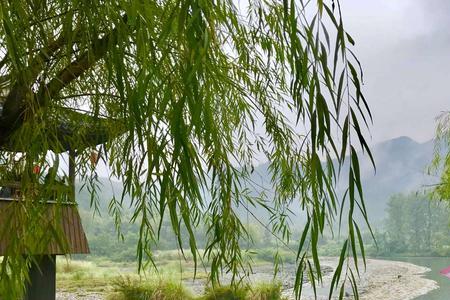 烟雨蒙蒙是哪个蒙字