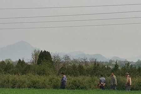 农村人死在城市怎么办