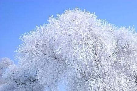 雪皑皑什么意思