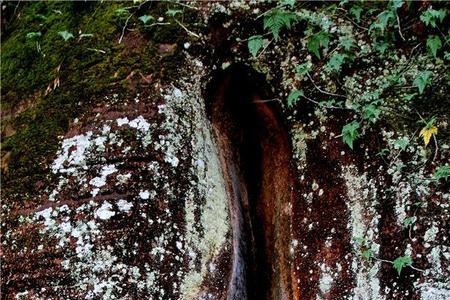 江西龙虎山阴元石景点