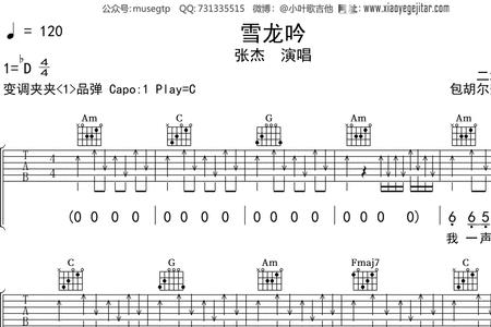 雪龙吟歌词完整版