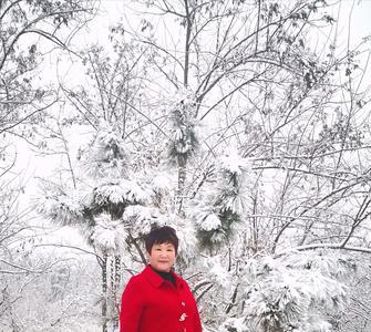 又见雪花飞满天歌词解释